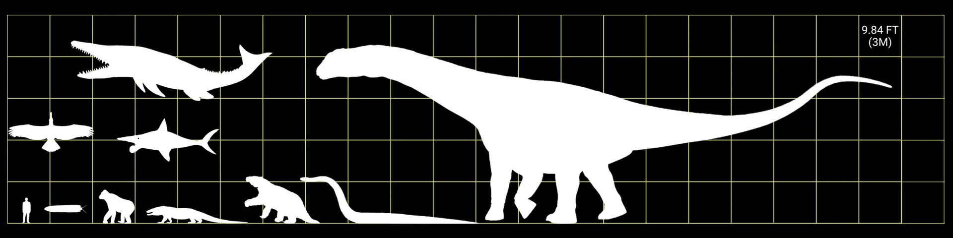 Banner for Interesting Fauna