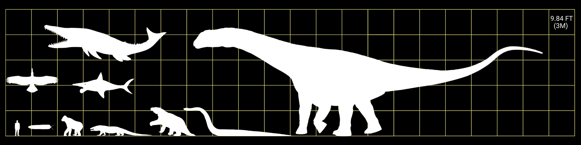 Banner for Interesting Fauna